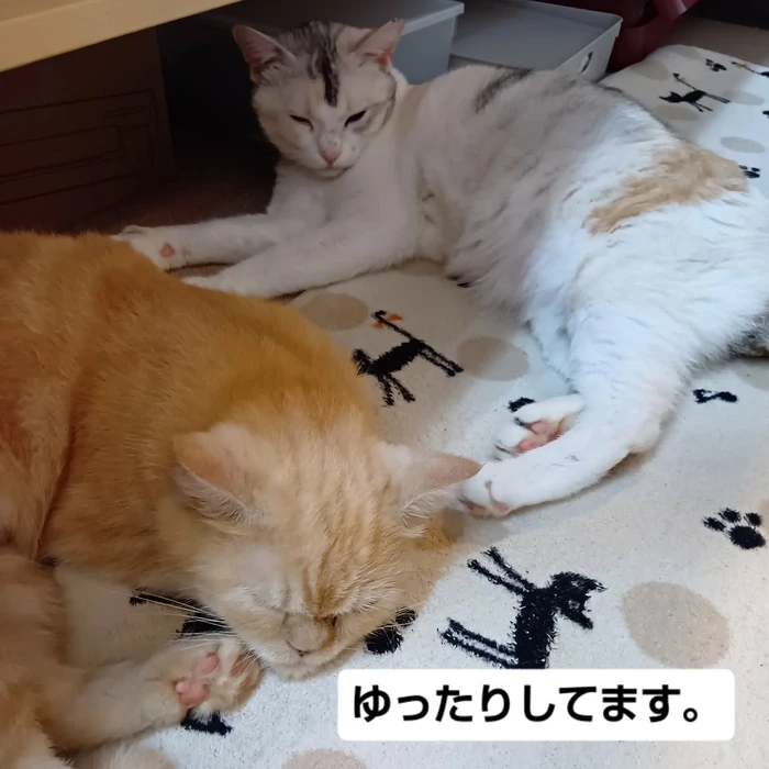 画像3174
