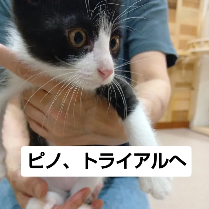 画像3176