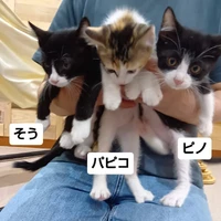 画像3178
