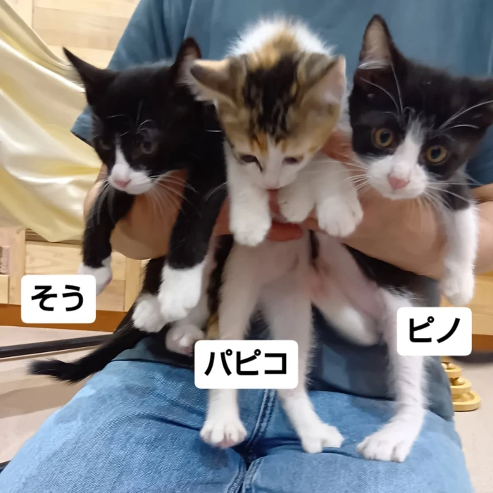 画像3178