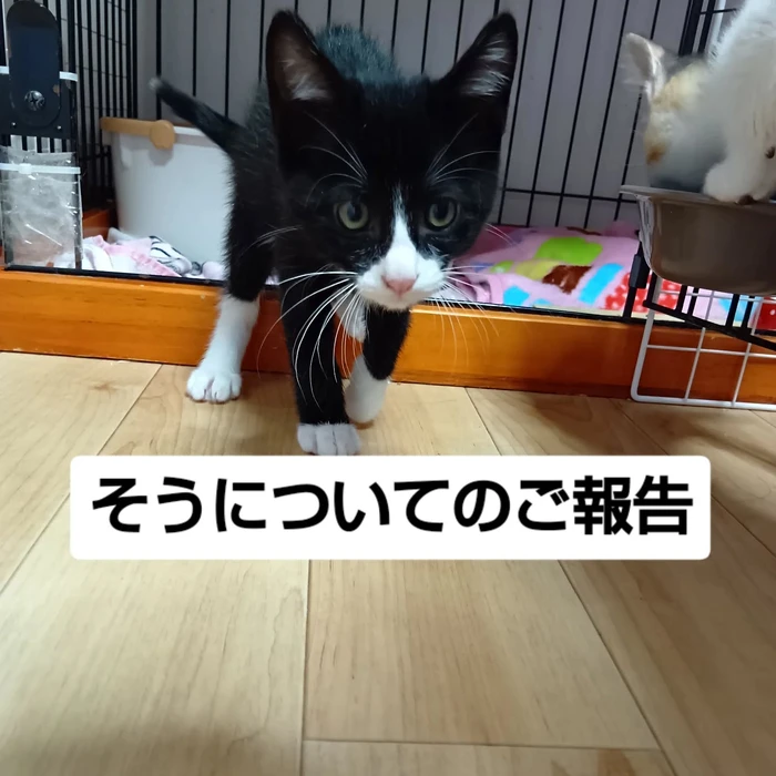画像3188