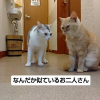 画像3199