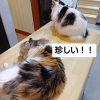 画像3212