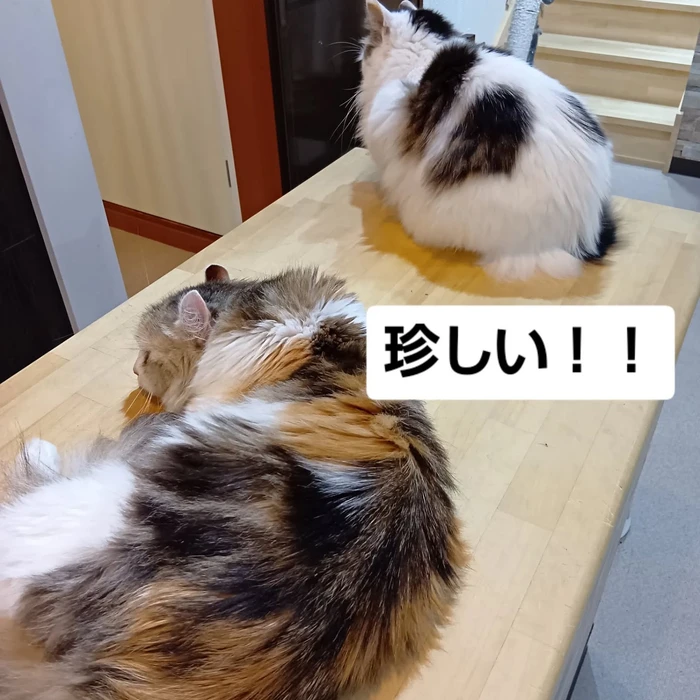 画像3212