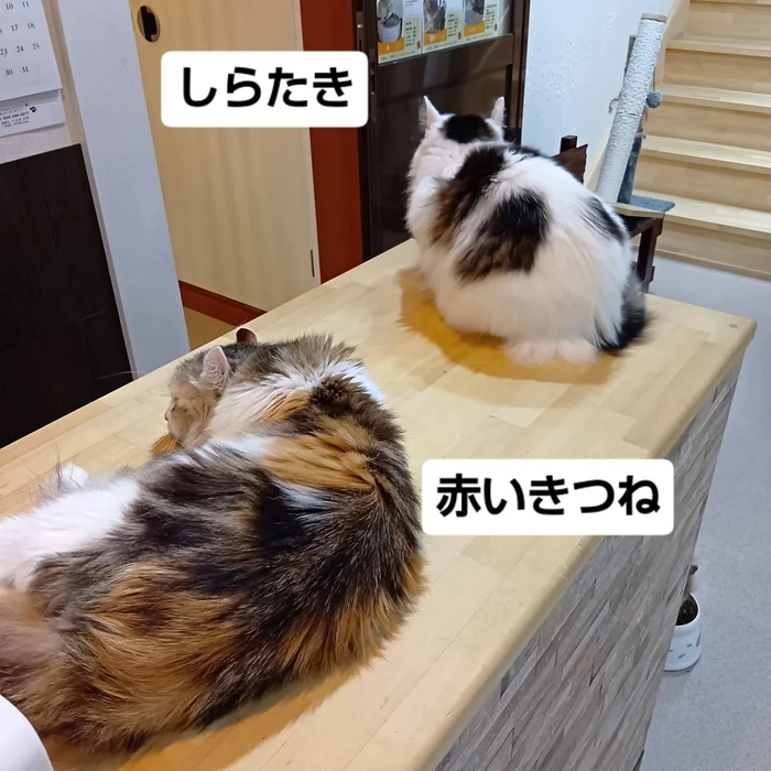 画像3213