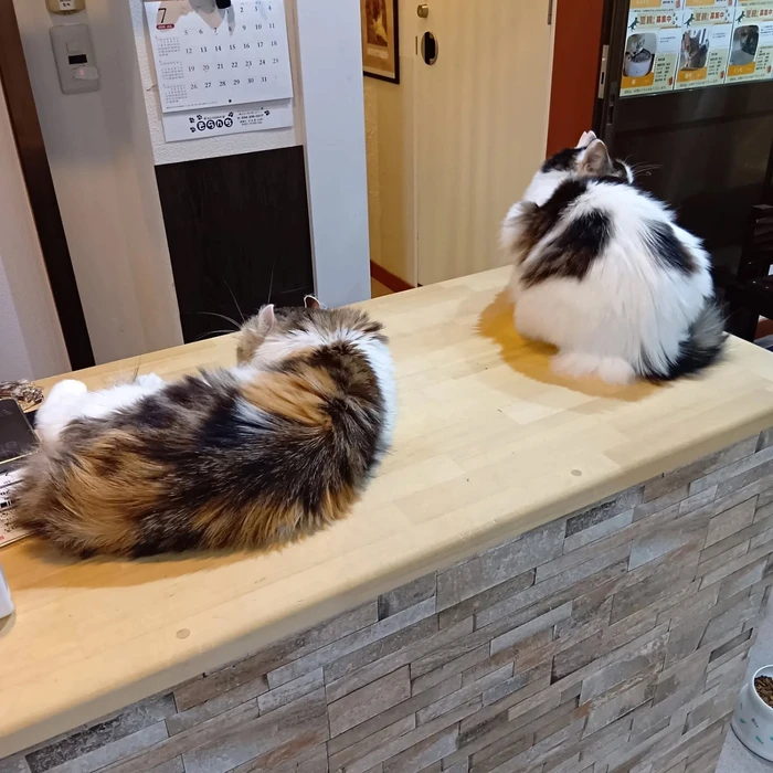 画像3214