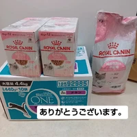 画像3230