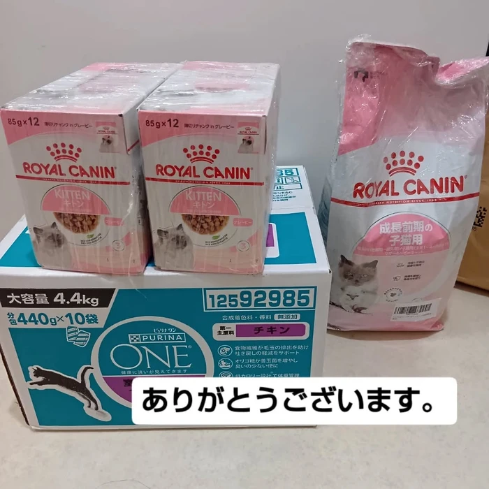 画像3230