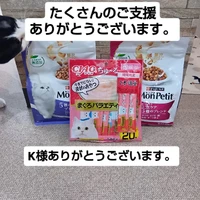 画像3248