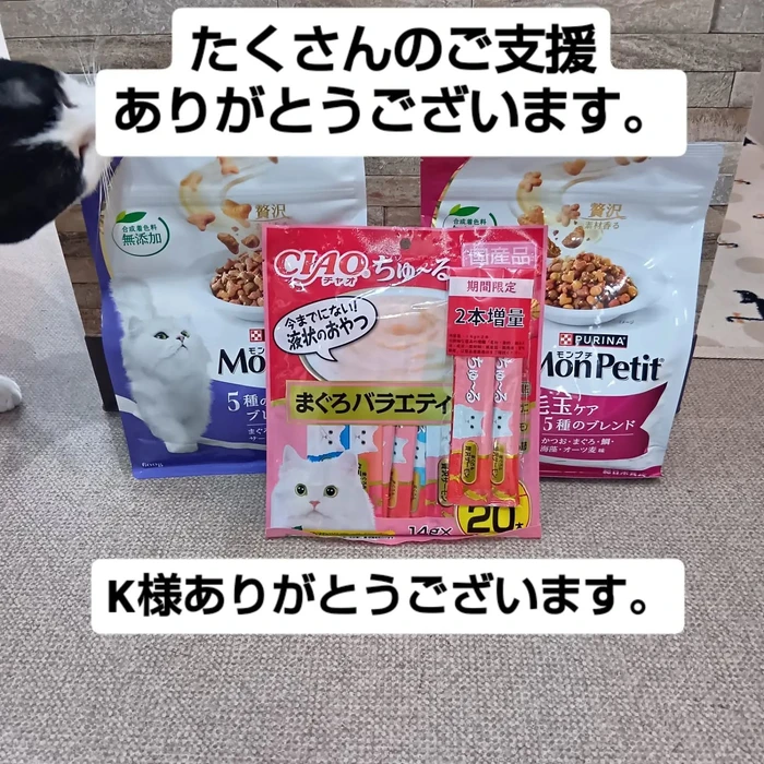 画像3248