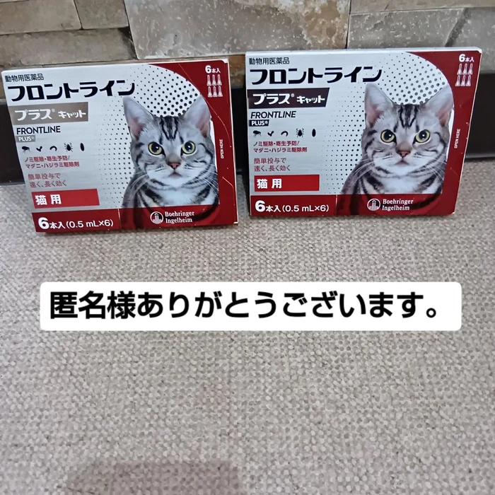 画像3249