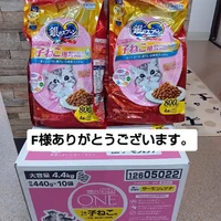 画像3250