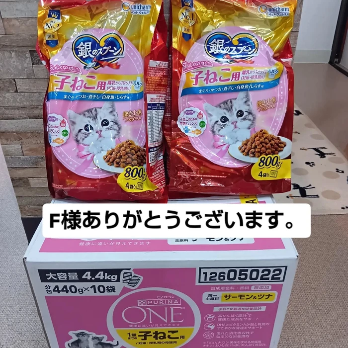 画像3250