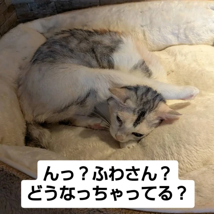 画像3257