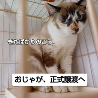 画像3266