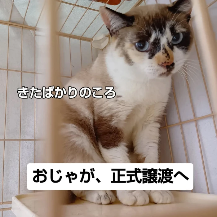 画像3266