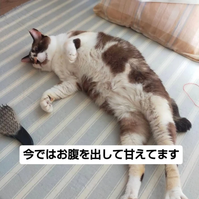 画像3267