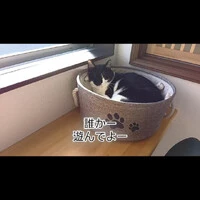 画像328