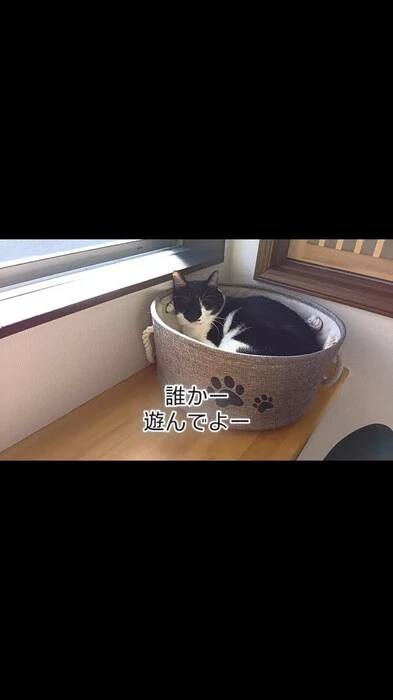 画像328