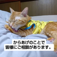 画像3283