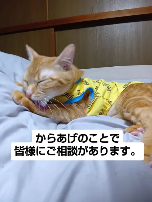 画像3283