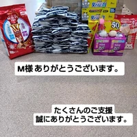画像3288