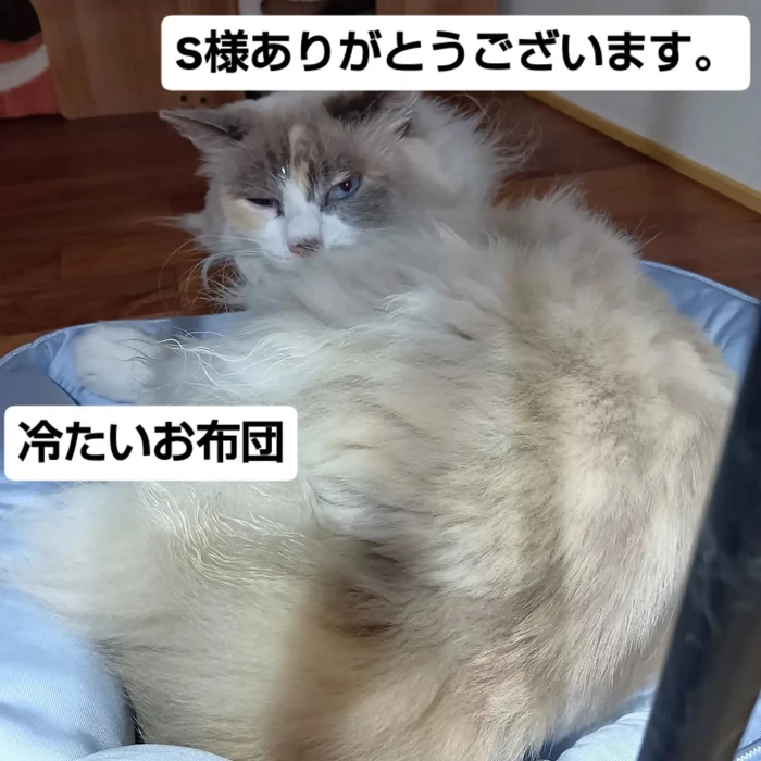画像3290