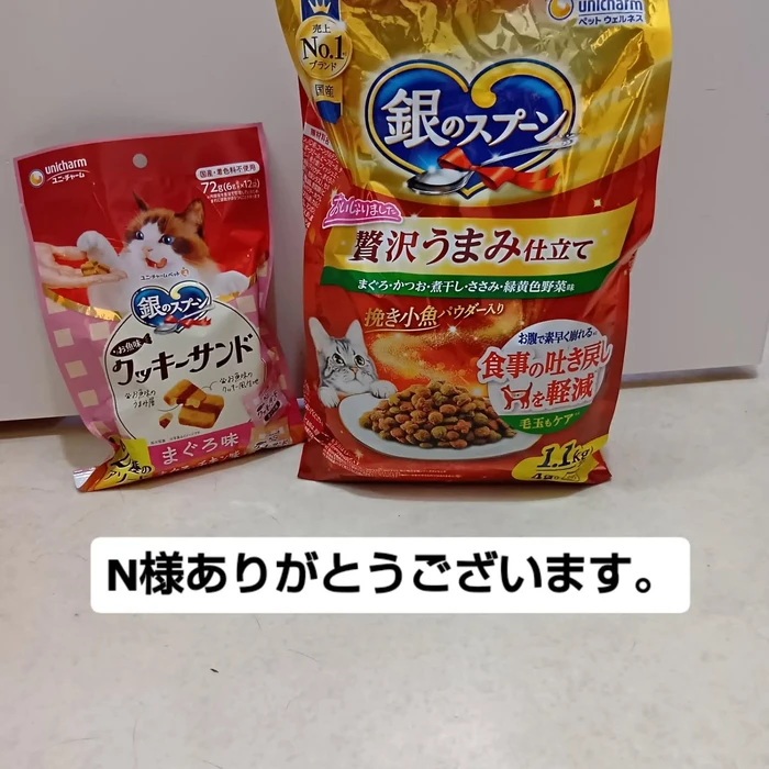 画像3291
