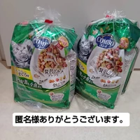 画像3292