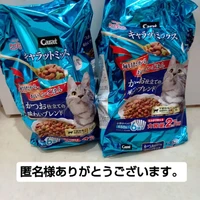 画像3293