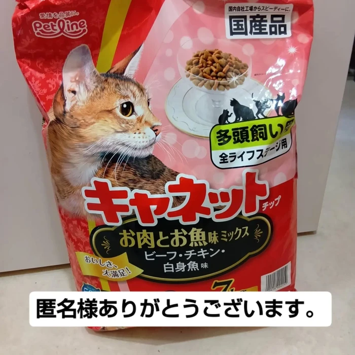 画像3294
