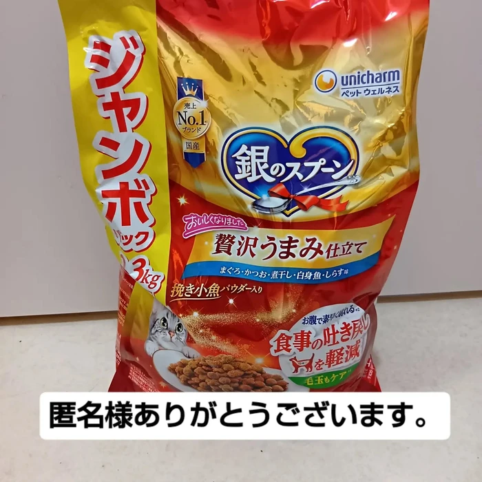 画像3295
