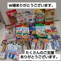 画像3311