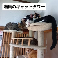 画像3328