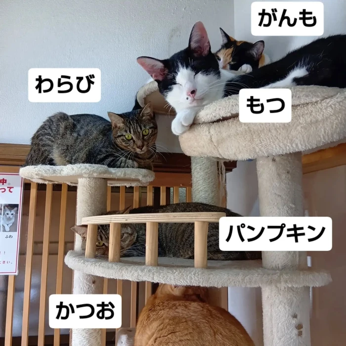 画像3329