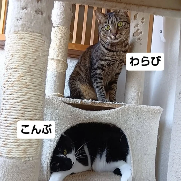 画像3330