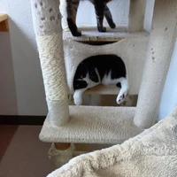 画像3331