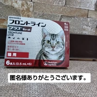 画像3341