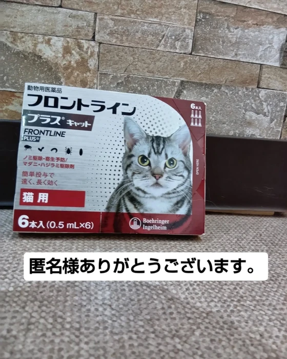画像3341
