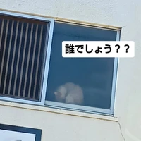 画像3347