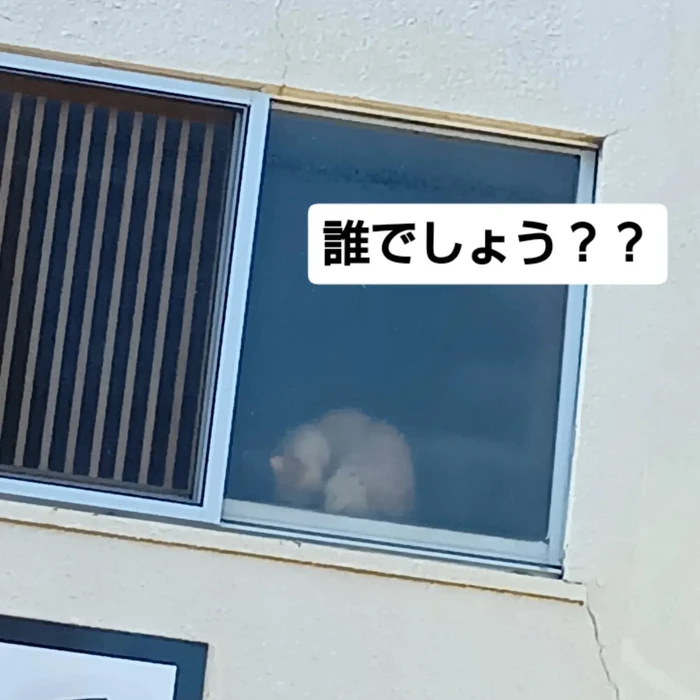 画像3347