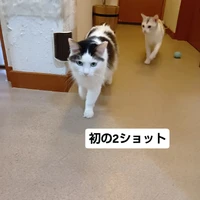 画像3349