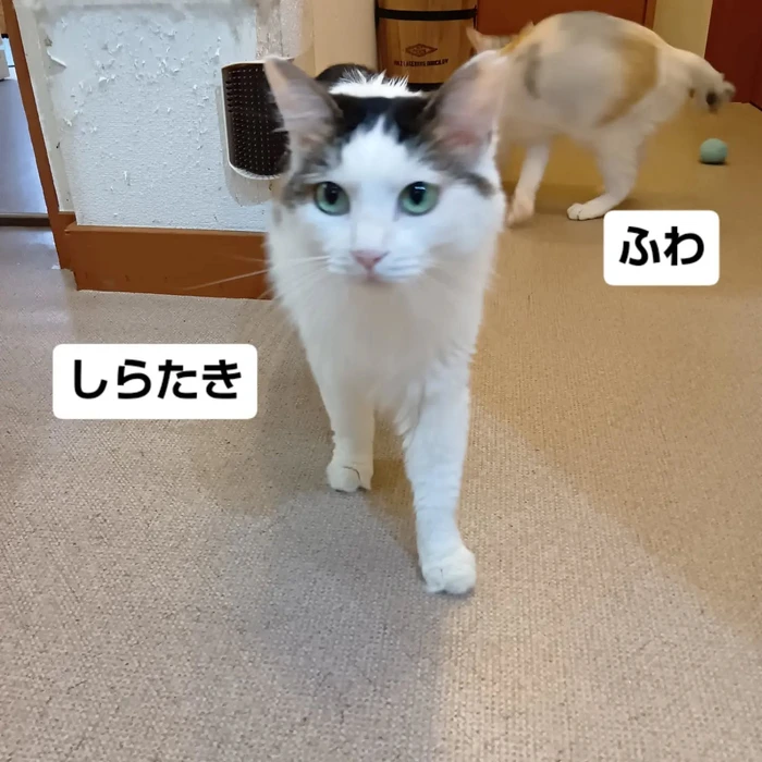 画像3350