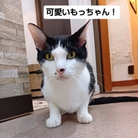 画像3352