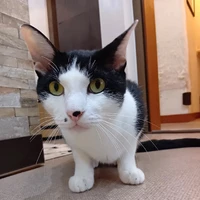 画像3353