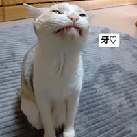 画像3358