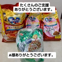 画像3370