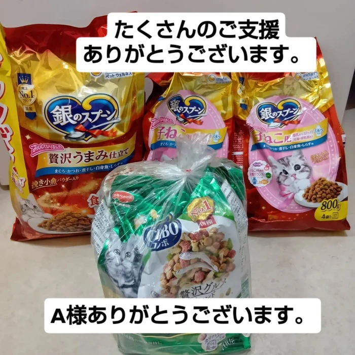 画像3370