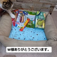 画像3373