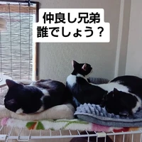 画像3377